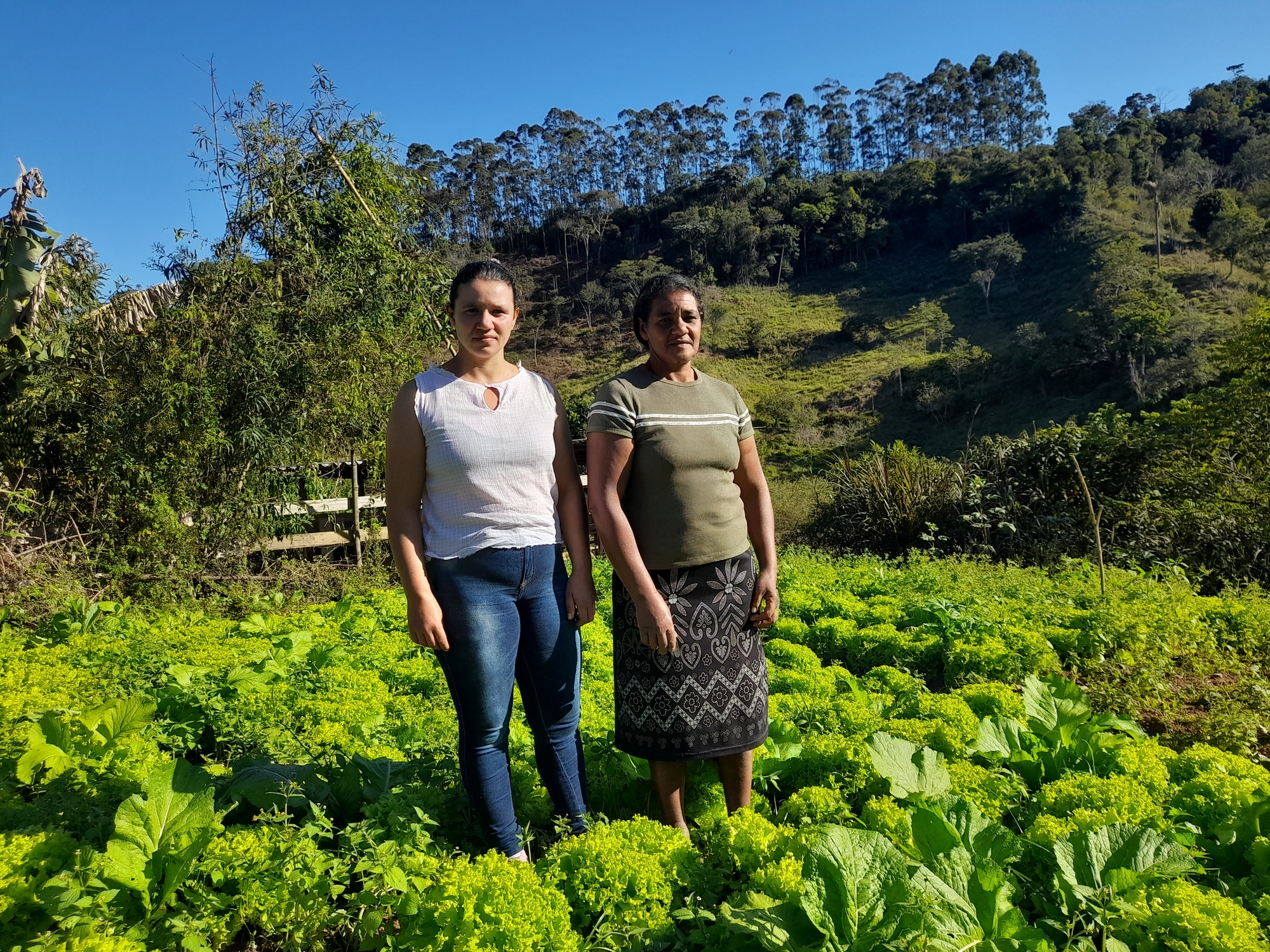 Projeto Alimentando o futuro